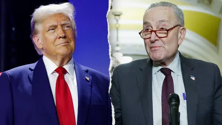 Schumer knocks Trump on Iran, plan to send ICE to airports: ‘Asking for trouble’