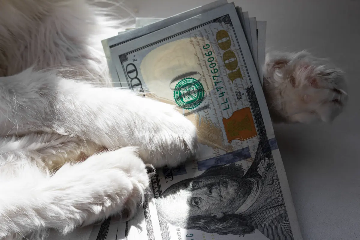 Average pet owner spending tops $4,000 a year—learn about the cost breakdown