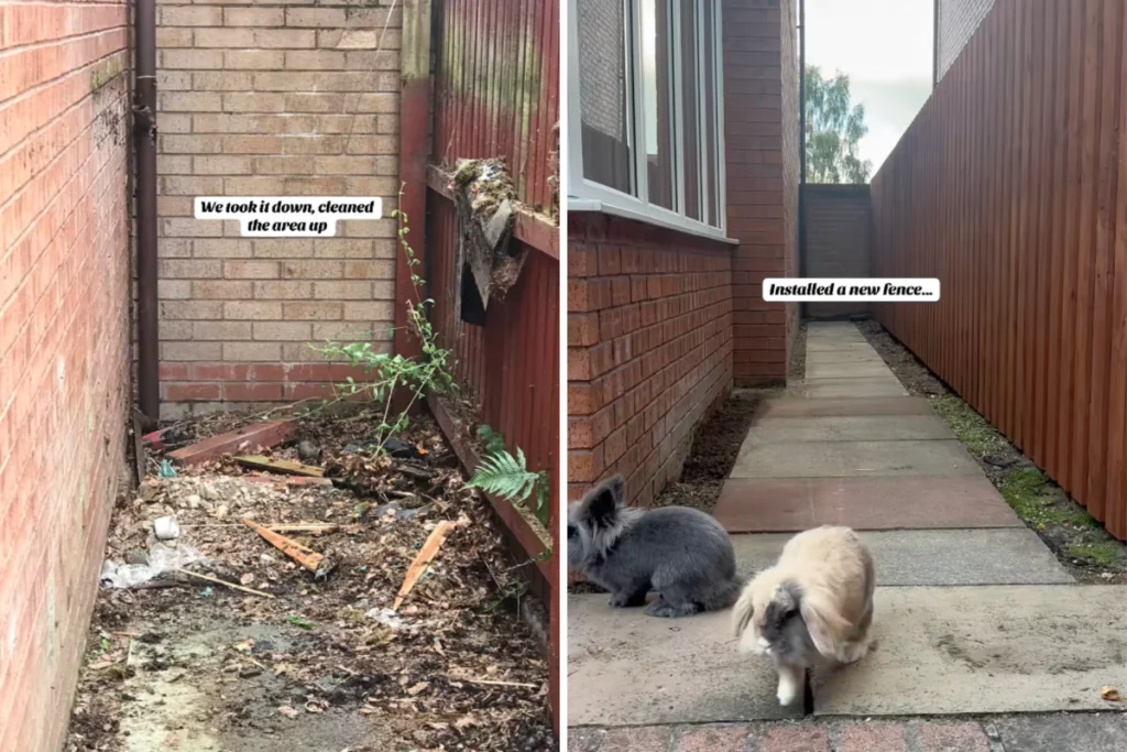 Homeowner Finds Old Dog Kennel in Yard, What They Do Next Amazes Internet