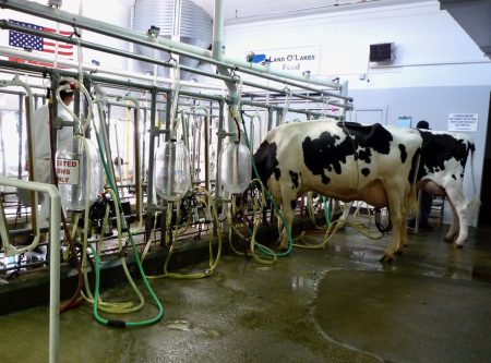 Washington startup lands up to $500M to deploy facilities treating sewage, dairy waste
