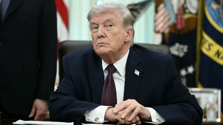 Resurfaced clips from top Democrats echoing Trump on birthright citizenship spark online uproar: ‘Wow’