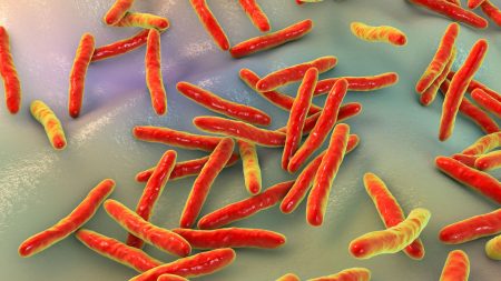 A $4 tongue swab test detects tuberculosis within 30 minutes