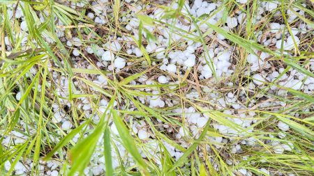 Grapefruit-sized hail may become more common in a warmer world