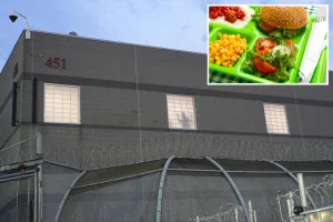 Fajitas, stir-fry, BBQ chicken – see the food options provided to Delaney Hall ICE detainees: ‘Higher standards than most US prisons’