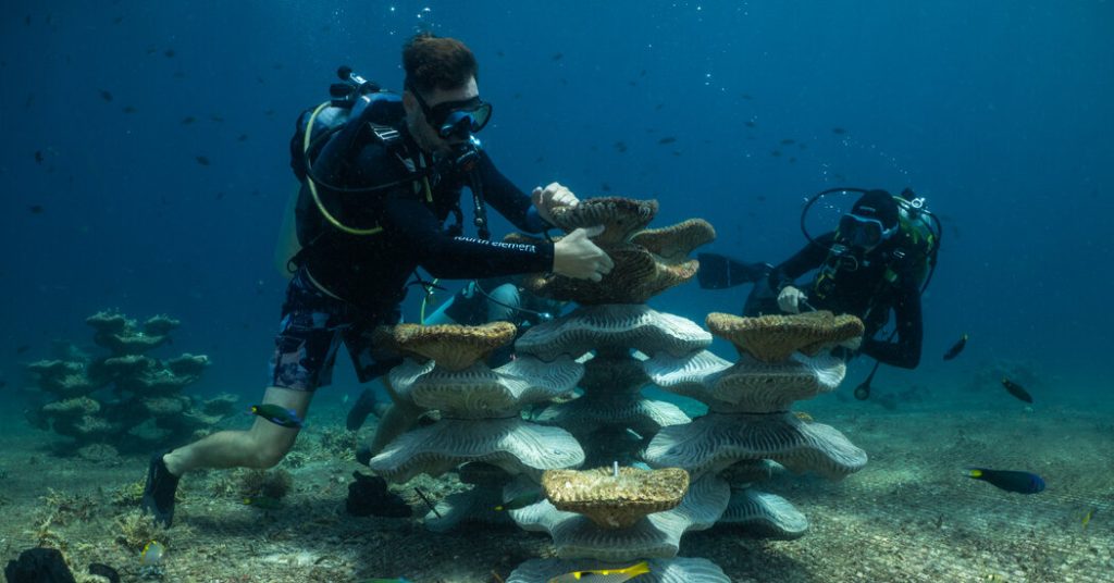 How Concrete Molds Are Reviving Reefs Damaged by Bombs and Climate Change