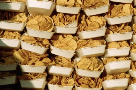 Chips Recall Over Salmonella Sparks Highest Risk Warning