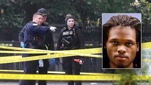 White House gunman had criminal record, history of mental health issues
