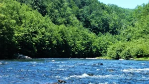 12-Year-Old Boy Dies After Raft Capsizes During School Trip in Pennsylvania
