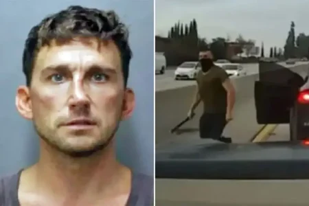 Tesla road-rager sentenced to seven years in prison after attacking mom and teen in Hawaii