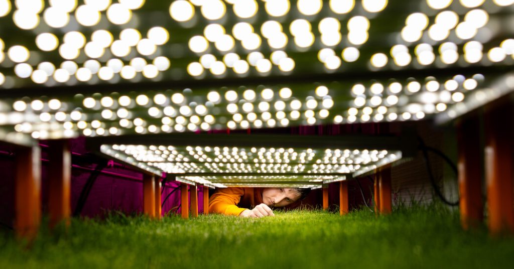 The Science Behind the Perfect World Cup Pitch