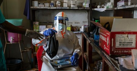 Scientists Rush Ebola Treatments as Outbreak Spreads