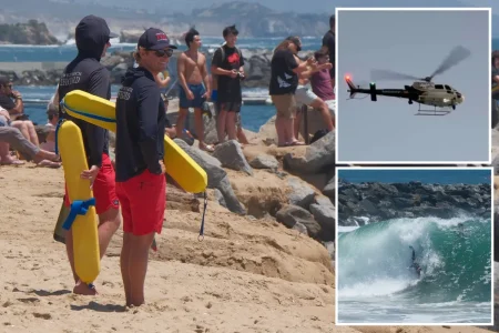 Horrifying new details emerge about family swept away by giant wave in Laguna Beach