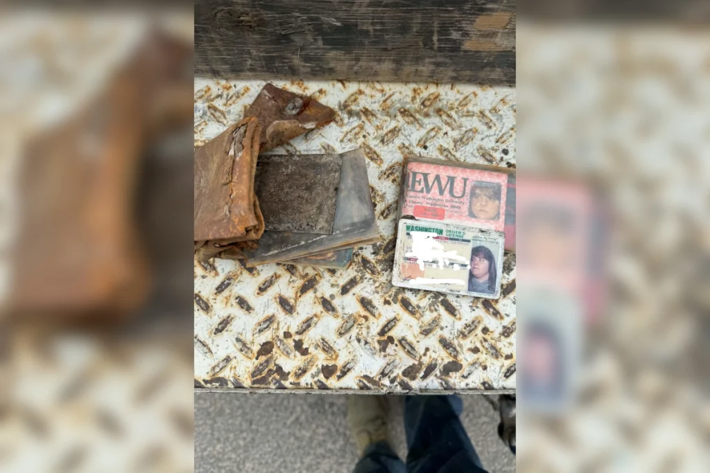 Her Wallet Was Stolen in College—43 Years Later, a Stranger Reached Out – Newsweek
