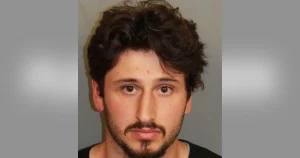 Alabama Man, 21, Arrested After He Allegedly Threw 5 Kittens Out of His Moving Car on Busy Highway