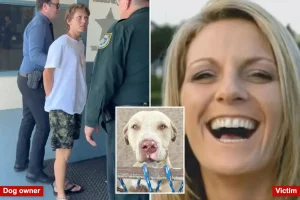 Pit bulls who mauled Florida woman to death attacked another neighbor weeks earlier: court docs