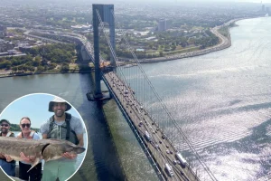 Bizarre reason for thunderous rumble in Hudson River revealed by scientists in eerie video