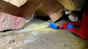 In painted caves, ancient human DNA clings to the walls