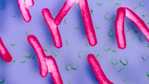 An experimental oral vaccine may prevent invasive bacterial diarrhea