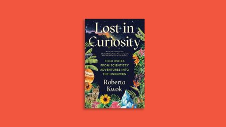 Lost in Curiosity reveals the messy reality of doing science
