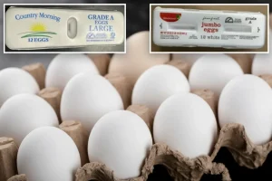 19 million eggs recalled at several supermarkets over possible Salmonella contamination