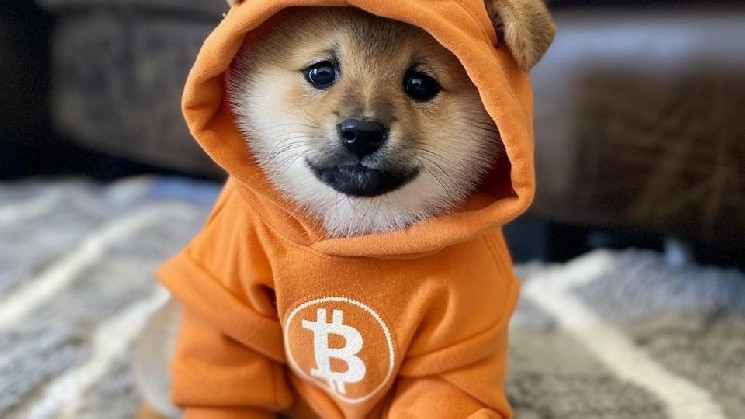 Bitcoin Responds to Anti-Spam Measures with DOG Mode