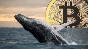 Dormant Bitcoin Whale Awakens After Seven Years to Transfer Hundreds of BTC