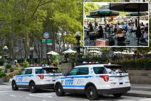 NYC homeless man hurls cell phone at baby in stroller during Bryant Park horror attack: cops