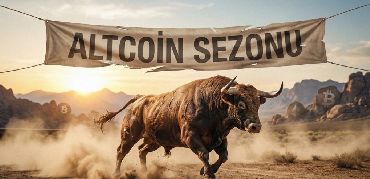 Wintermute Casts Doubt on the Expected Altcoin Bull Run