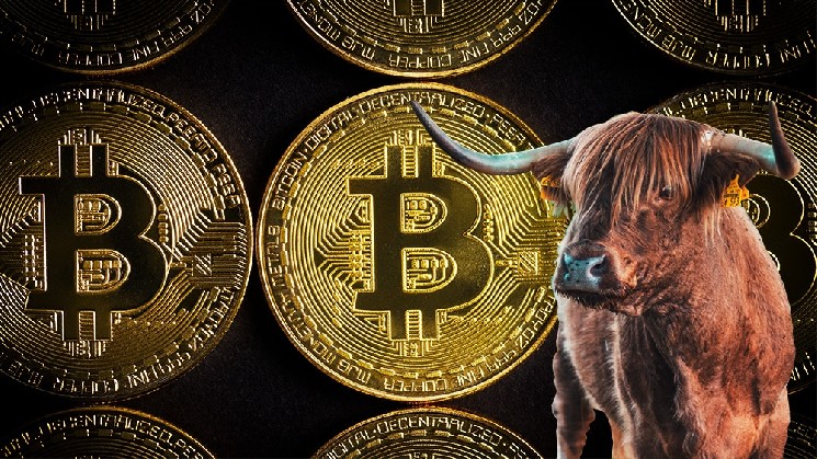 Expert Matt Hougan Predicts When the Bitcoin Bull Market Will Return