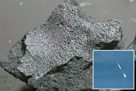‘Alien chemistry’ meteorite that slammed NJ home is among rarest space rocks ever recovered
