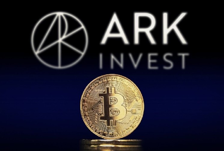 rewrite this title into a single title (don’t suggest multiple titles, just choose one, and don’t add “ to the title): Market Expert ARK Invest Released a Detailed Report on Bitcoin: Have We Hit Bottom, or Are We Yet to See It?