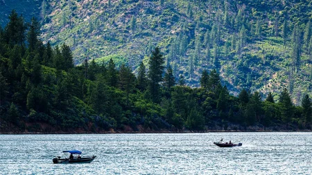 US forest service workers kidnapped, ziptied for hours by father-son duo: California AG
