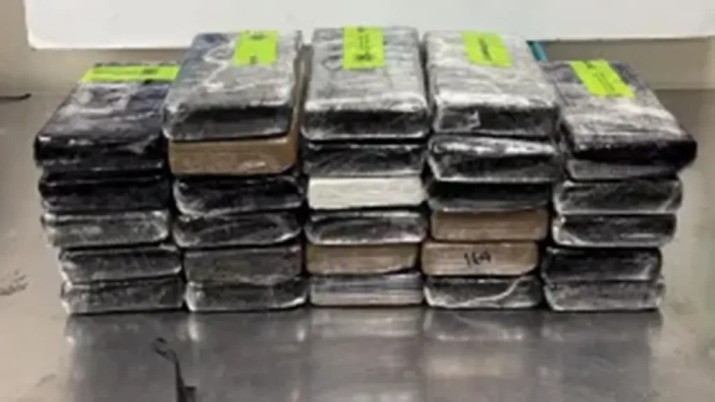 Border agents uncover $3.7M in cocaine masquerading as a cucumber delivery