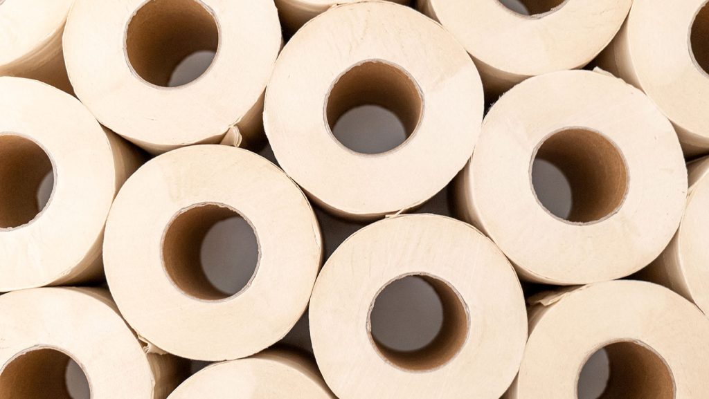 Bamboo toilet paper intrigued me. Reality turned out to be messy