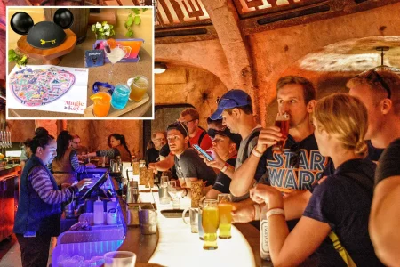 The average price of a Disneyland cocktail now costs $21