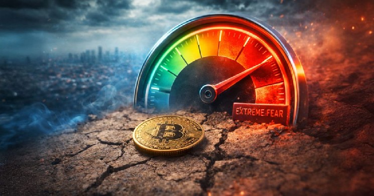 Crypto Fear and Greed Index Climbs Amidst Market Swings