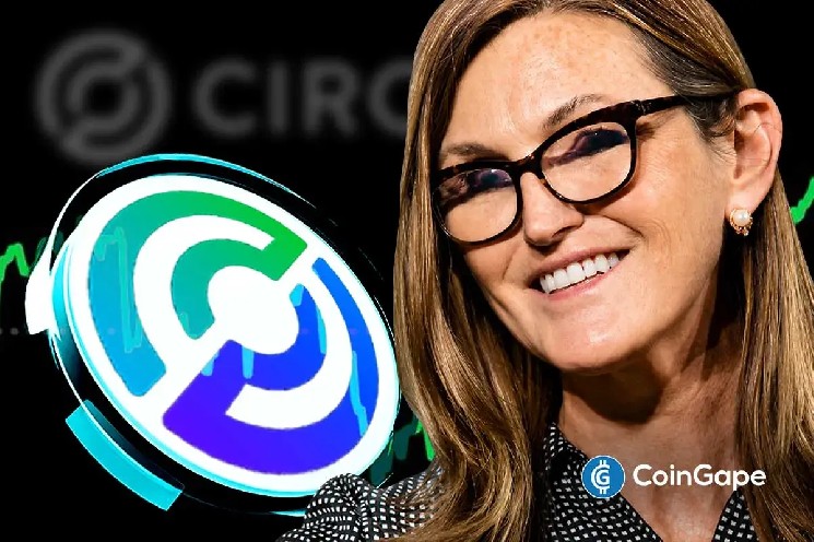 Cathie Wood Increases Circle Stake Following New York License Win