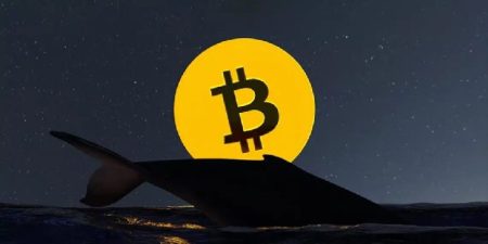 Bitcoin Whale Dormant for 15 Years Moves BTC
