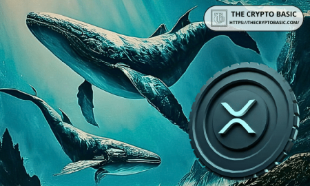 XRP Whales Accumulate 1.23B Tokens Amid 43% Price Crash
