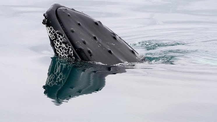 Bitcoin Whales Buy $1.2B as ETF Inflows Hit $750M
