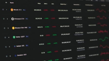 Crypto Investors Prioritize Fundamentals