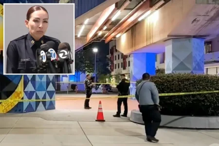 Chilling details released about ‘random’ mass stabbing rampage across California city — as police refuse to name suspect