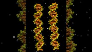 See the secret to DNA hookups