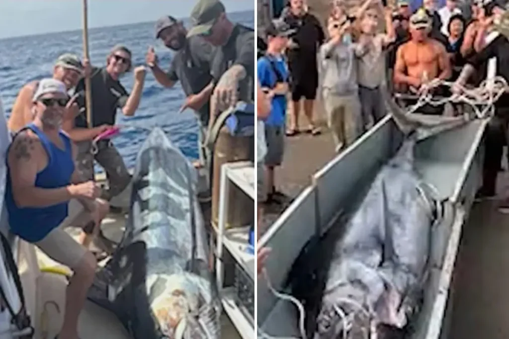 Fishermen make record-breaking catch off California coast