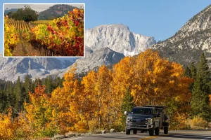 New fall foliage forecast shows when to catch peak colors in California
