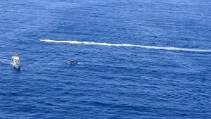 At least 40 rescued, 2 dead as boat capsizes after machete fight near Puerto Rico