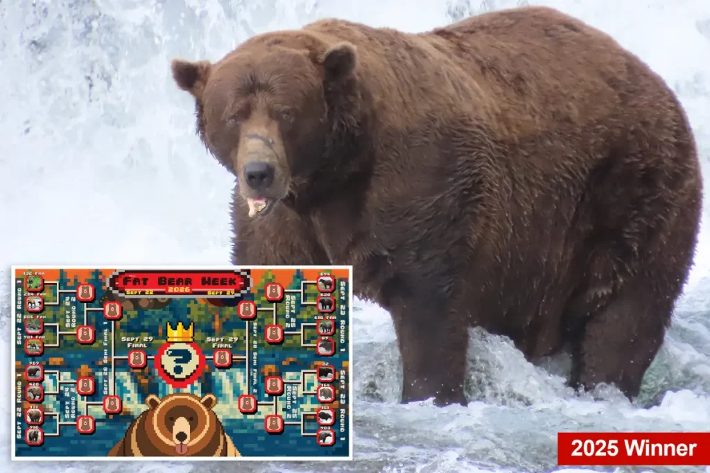 Fat bear week kicks off its 12th year — meet the contenders
