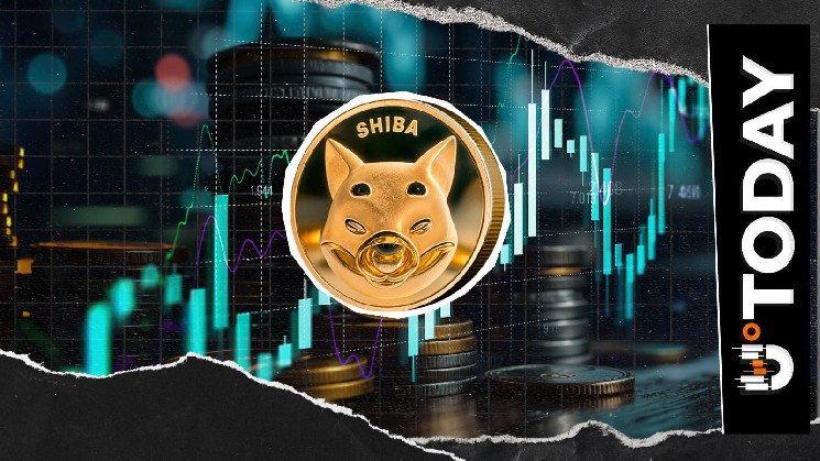 SHIB’s 144B Netflow Raises Alarm Despite 5% Price Rally