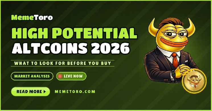 The Next Altcoin Narrative: Comparing Privacy, Tokenization, Fast Blockchains, and AI Memecoins