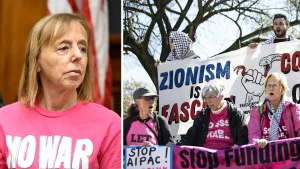 How CodePink co-founder Medea Benjamin’s family foundation became a major funder of left-wing activist groups
